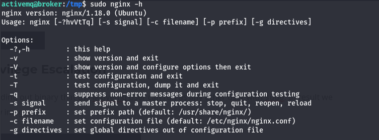 checking nginx help manual