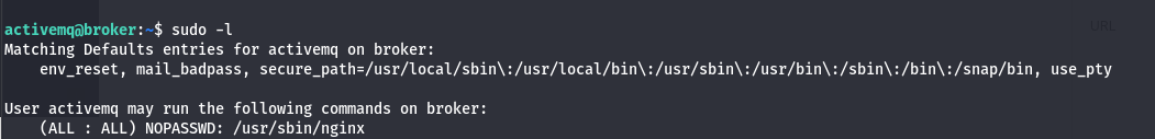 sudo -l command found nginx SUID